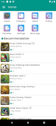Suara Burung Trucukan Pikat