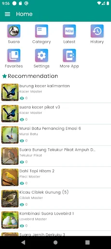 Suara Burung Walet Pikat