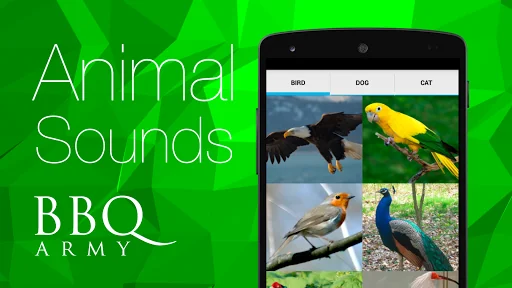 Animal Sounds (Bird,Dog,Cat)