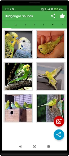 Budgerigar Camera for Parakeet