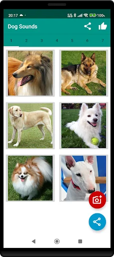 Dog Video Creator (Dog Sounds)