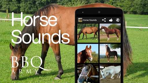 Horse Sounds screenshot 1