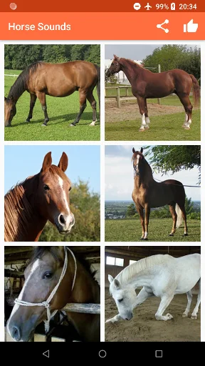 Horse Sounds screenshot 2