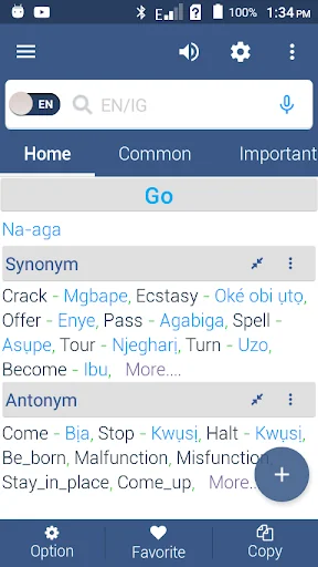 English To Igbo Dictionary screenshot 3