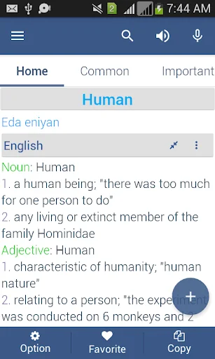 Yoruba Dictionary Offline screenshot 3