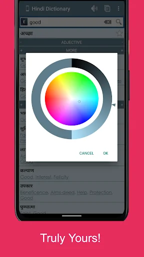Hindi Dictionary (Offline) screenshot 4