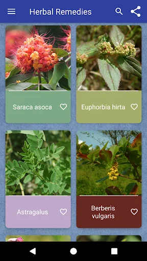Herbal Remedies