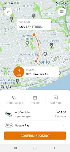 Beck Taxi screenshot 3