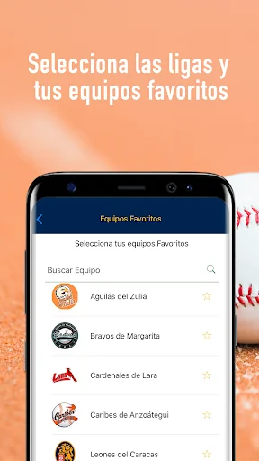 BeisbolPlay screenshot 2