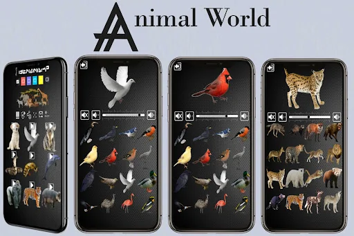 Animal Sounds