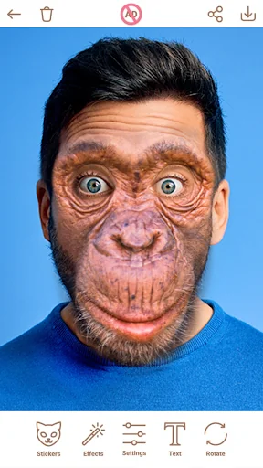 Animal Face Changer