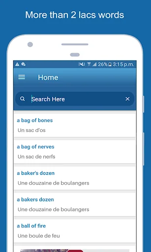 English To French Dictionary screenshot 2