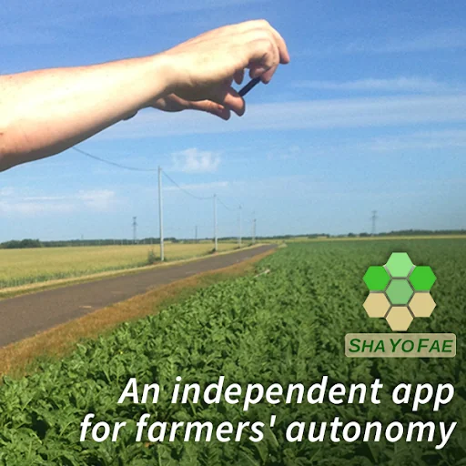 ShaYoFae : farming experience