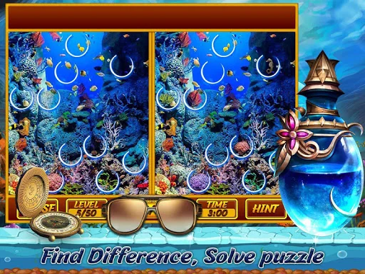 Find Difference : Puzzle Game