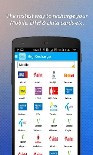 Big Recharge B2B Platform