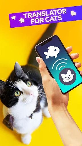 Cat Translator Pet Talk Meow screenshot 1