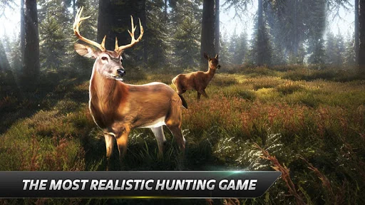 Animal Hunter 3D  Hunting Game screenshot 1