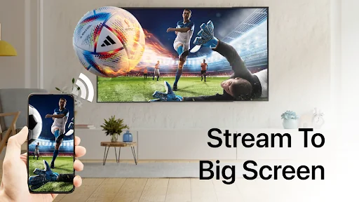 Cast to TV - Web Video Cast