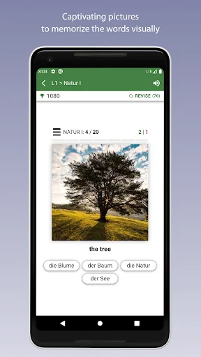 Learn German Vocabulary screenshot 4