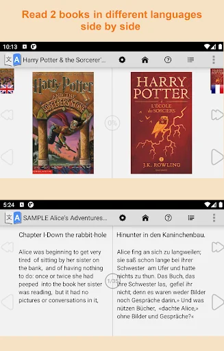 Bilingual book reader