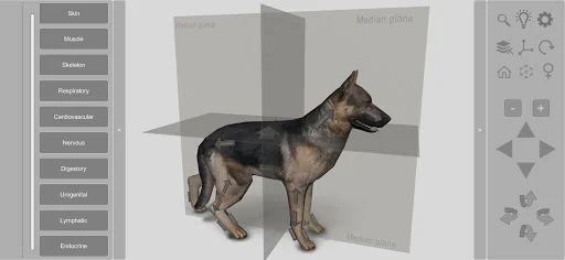 3D Dog Anatomy screenshot 1