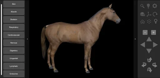 3D Horse Anatomy screenshot 1