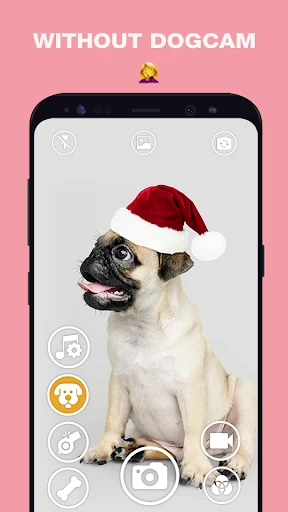 DogCam - Dog Selfie Filters an screenshot 1