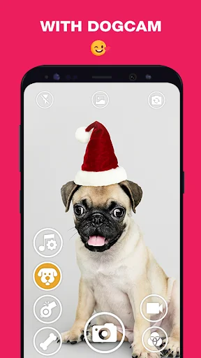 DogCam - Dog Selfie Filters an screenshot 2