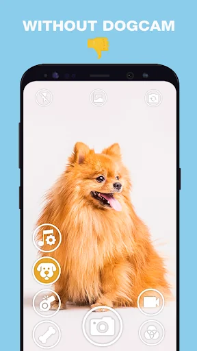 DogCam - Dog Selfie Filters an screenshot 3