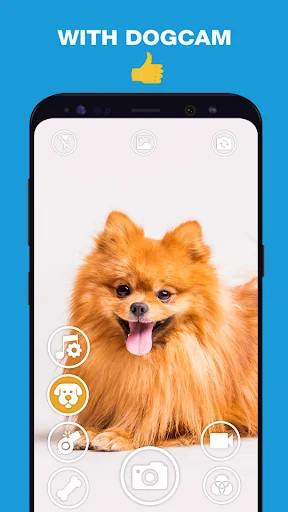 DogCam - Dog Selfie Filters an screenshot 4