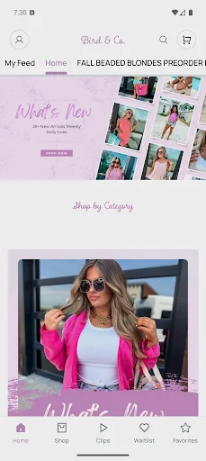 Bird and Co Boutique