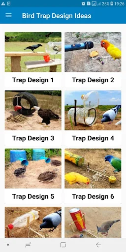 Bird Trap Design Ideas
