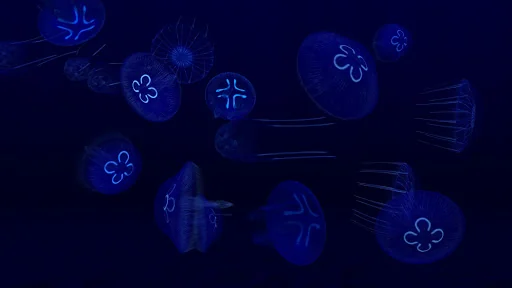 Fish Farm 3 - Aquarium screenshot 4
