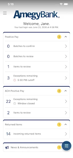 Amegy Bank Positive Pay