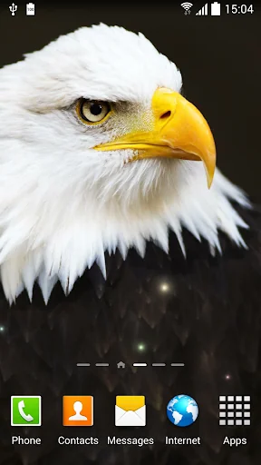 Birds Live Wallpaper screenshot 1