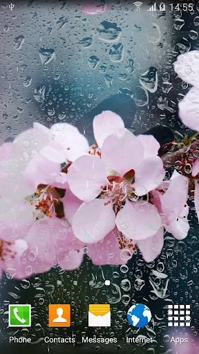 Cherry Blossom Live Wallpaper