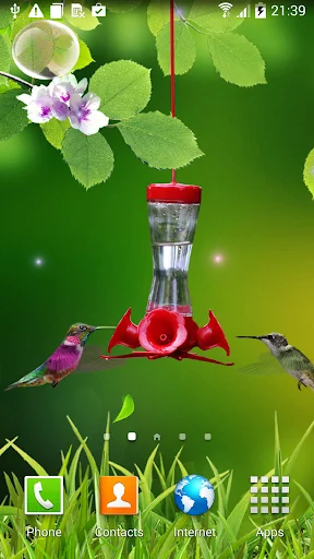 Hummingbirds wallpaper screenshot 1