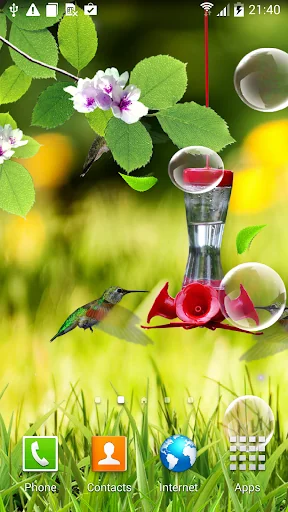 Hummingbirds wallpaper screenshot 2
