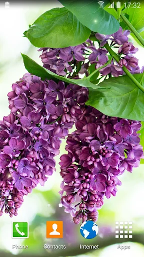 Lilac live wallpaper screenshot 1