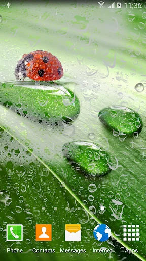 Macro Spring Live Wallpaper screenshot 1