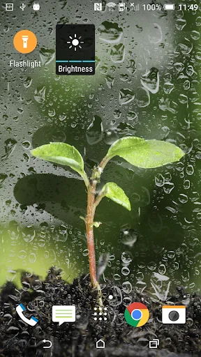 Macro Spring Live Wallpaper screenshot 3