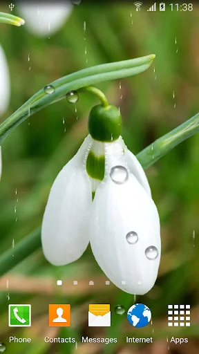 Macro Spring Live Wallpaper screenshot 4