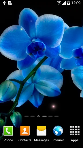 Orchids Wallpaper screenshot 1