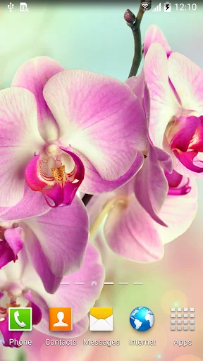 Orchids Wallpaper screenshot 3