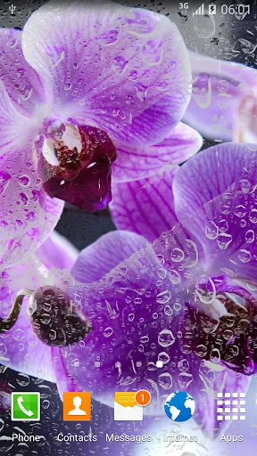 Orchids Live Wallpaper screenshot 2
