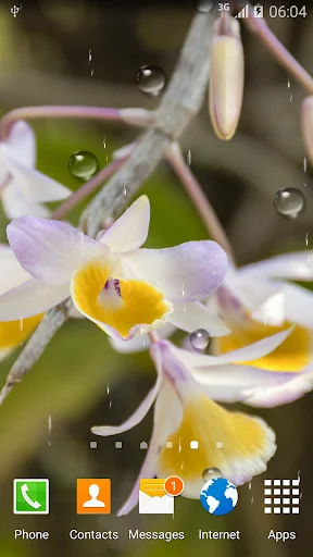 Orchids Live Wallpaper screenshot 3