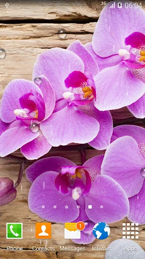 Orchids Live Wallpaper screenshot 4
