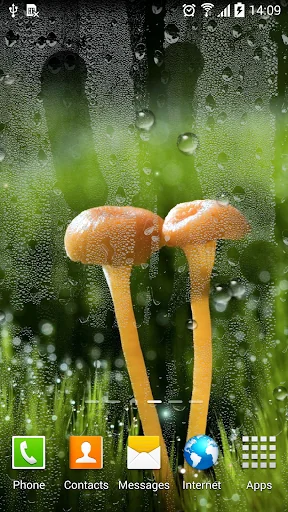 Rain Live Wallpaper screenshot 3