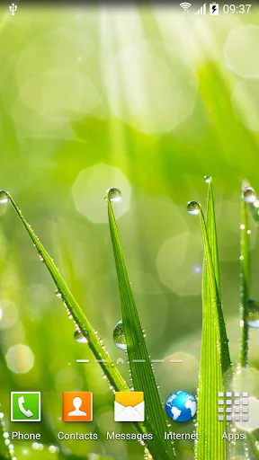 Spring Live Wallpaper HD