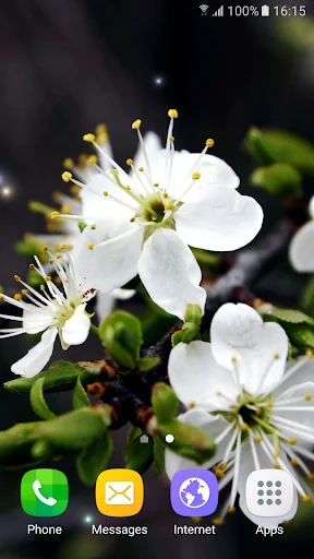 Springtime Live Wallpaper